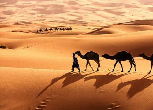 5-Day Marrakech to Merzouga Desert Tour