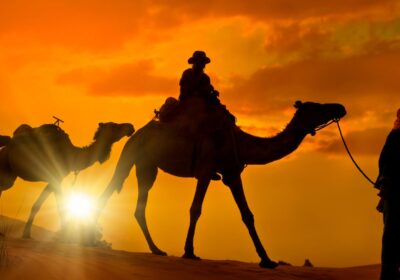 What to Expect on a Sahara Desert Adventure in Morocco: Camel Rides, Dunes & Overnight Camp in Erg Chebbi