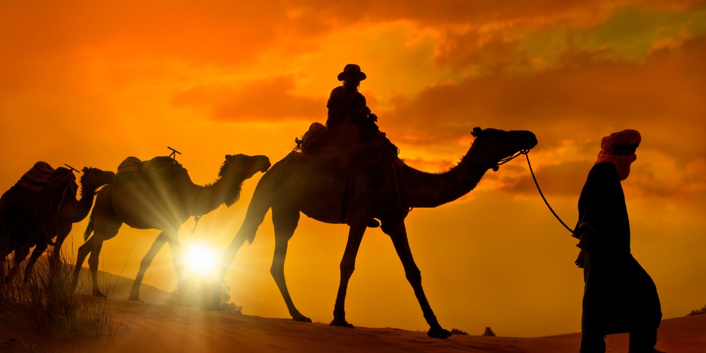 Sahara desert adventure